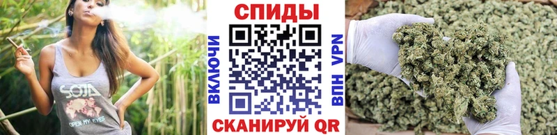 БУТИРАТ буратино  цена   Буй 