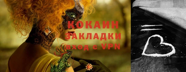 мдпв Богданович