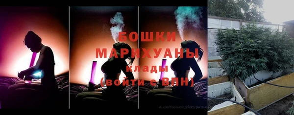 мдпв Богданович