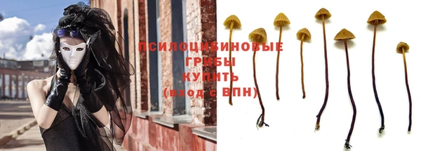 прущие крисы Новочеркасск