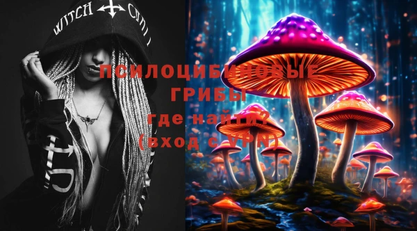 мдпв Богданович