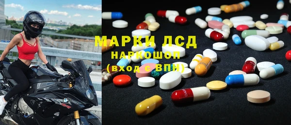 мдпв Богданович