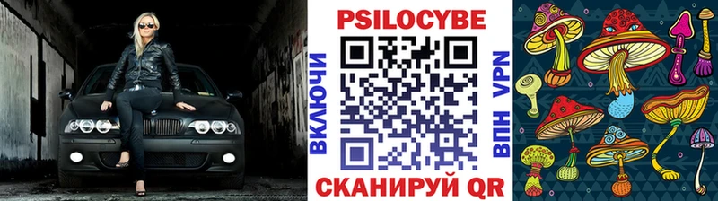 Псилоцибиновые грибы MAGIC MUSHROOMS  Буй 