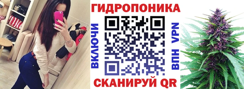 Шишки марихуана конопля Буй